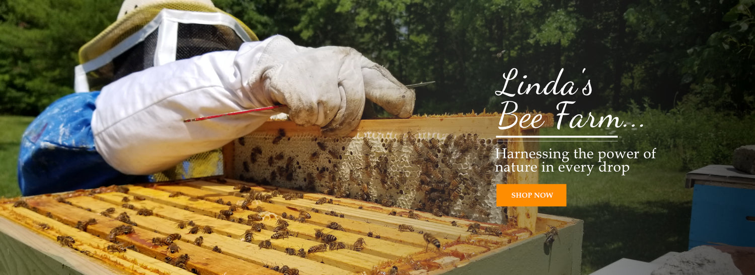 Beekeeper in a white glove holding a honeycomb frame beside the words Linda's Bee Farm