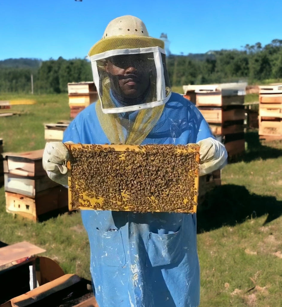 Why Did I Become a Beekeeper?